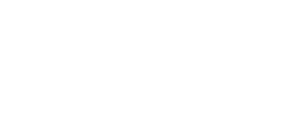 Atri Fiat